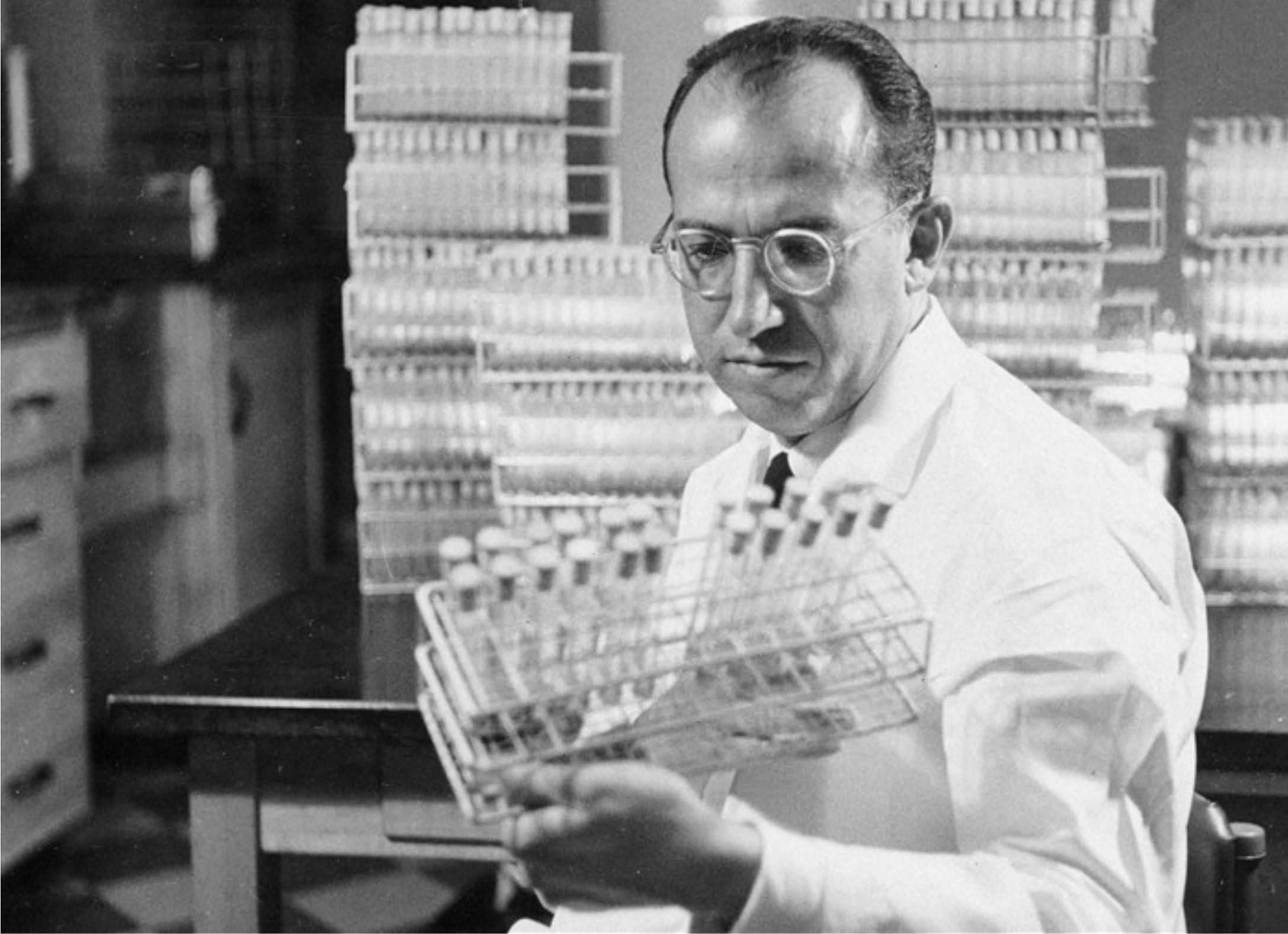 Dr Jonas Salk at work in his lab in 1954